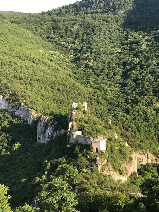 Sokobanja Apartmani Exterior foto