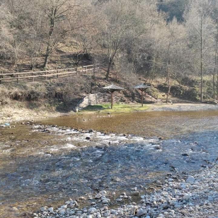 Sokobanja Apartmani Exterior foto