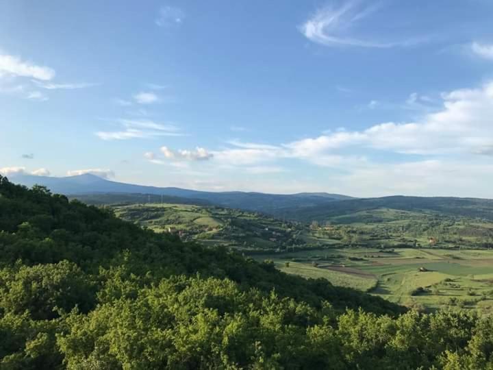 Sokobanja Apartmani Exterior foto